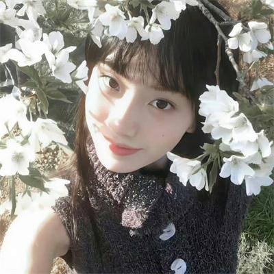 赘婿动画版